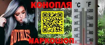 эйфоретик Бугуруслан