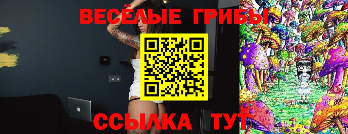 Магнитогорск  Псилоцибиновые грибы ЛСД  Вход с VPN  Галлюциногенные грибы Cubensis 